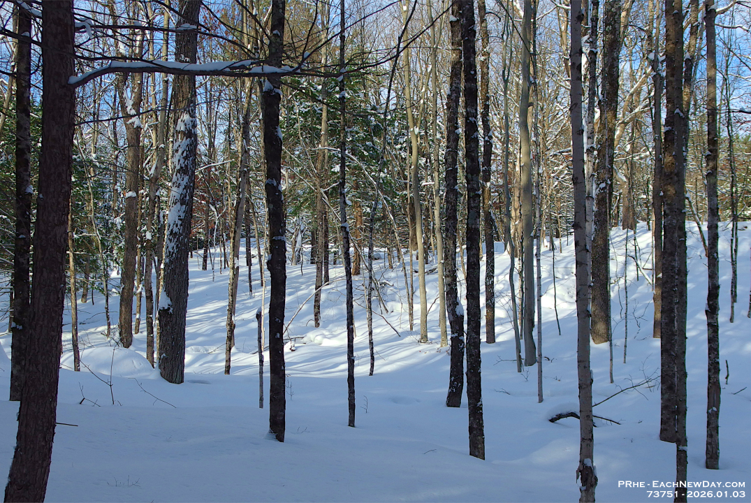 73751CrPeReLeUsm - Snowshoeing with John - Deb